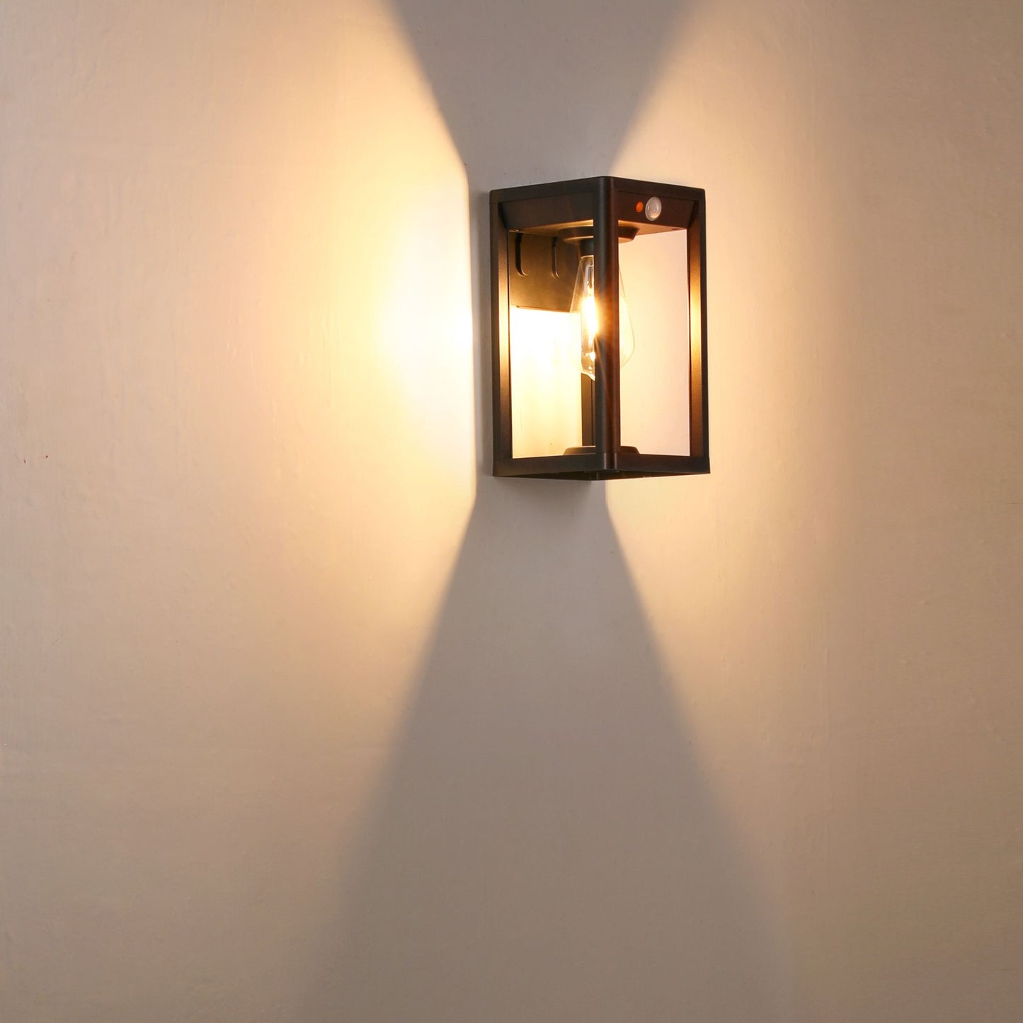 “Smart” Wall Light