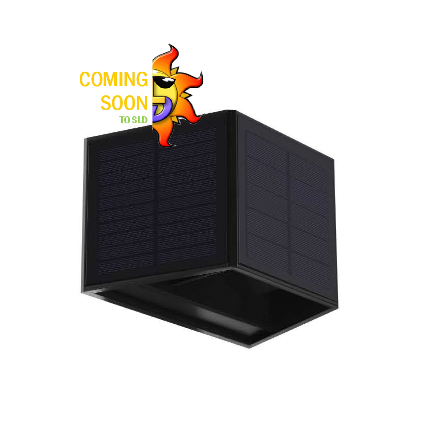 "Adjustable" Up/Down Wall Light