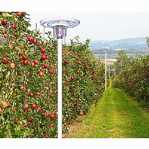 Solar-powered park light with insect zapper feature, mounted on a post with a built-in solar panel on top